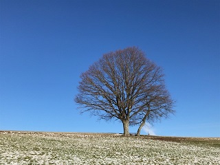 Dateibeschreibung